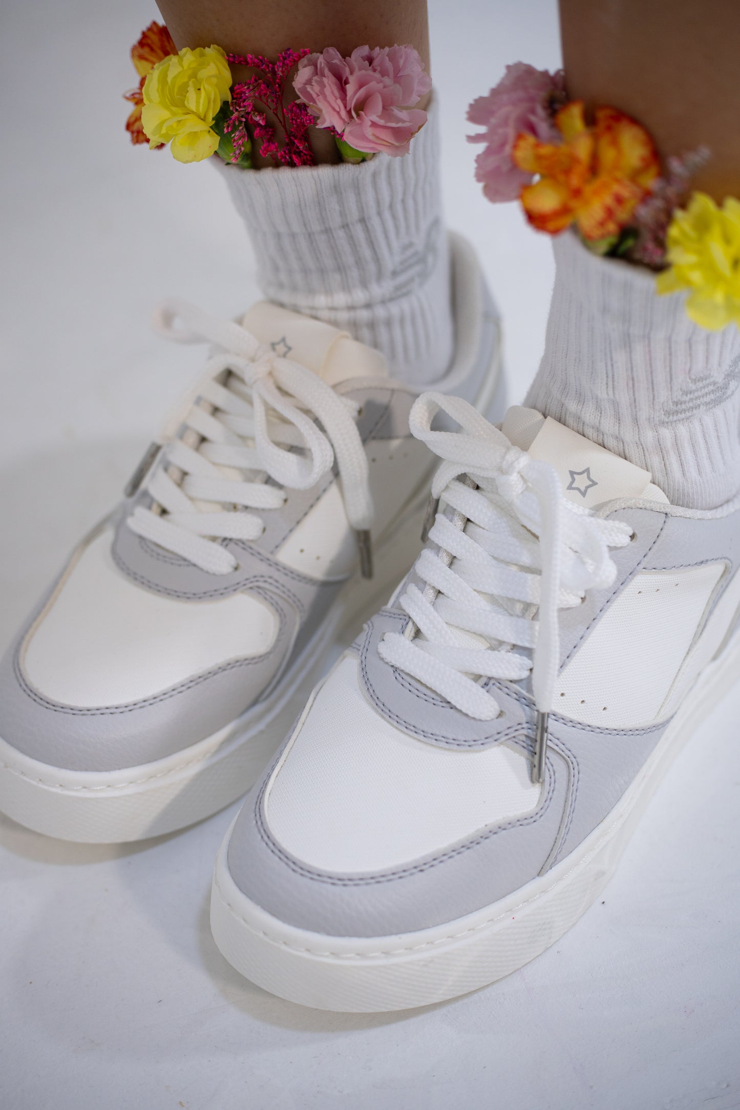 ARIA GRIS